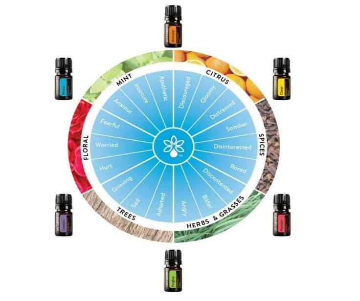 emotional aromatherapy wheel